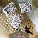 Lamington rezept recipe Kokoskuchen Schokokuchen Foodstyling australische rezepte zuckerzimtundliebe foodstylist