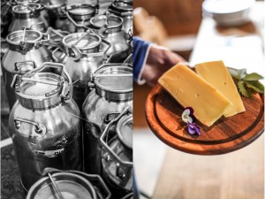 Zuckerzimtundliebe Südtirol Genussfestival Milchprodukte und Käse