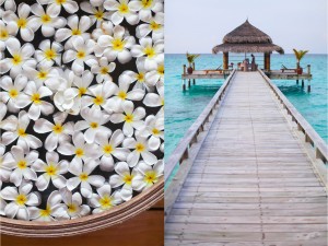 Kuramathi Island Resort Malediven Empfehlung Reisebericht Blog Indischer Ozean Familie Kinder Spa Kokos