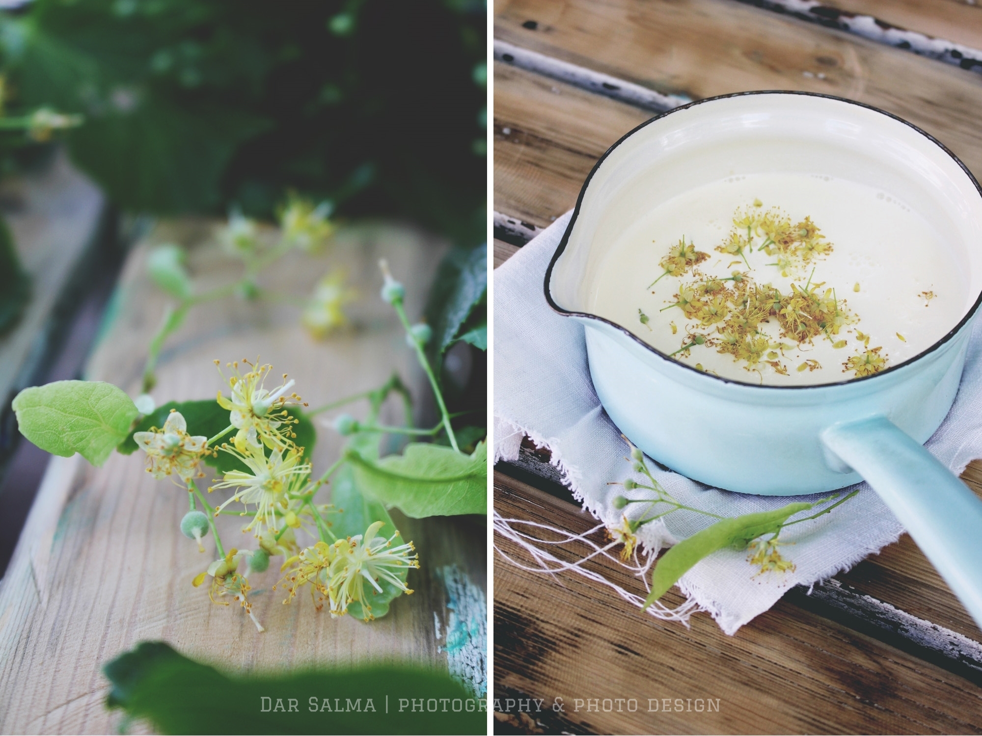 Ein Rezept für sommerliches Lindenblüten Panna Cotta und Honig – eine ...