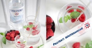 Gerolsteiner Projekt Wasserwoche Zuckerzimtundliebe Infused Water
