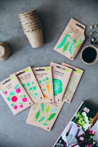 Gartenbuch Schönes aus dem Garten Clara Moring Buchvorstellung Gartengeschenke