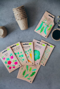 Gartenbuch Schönes aus dem Garten Clara Moring Buchvorstellung Gartengeschenke