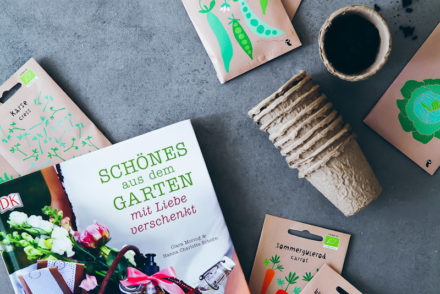 Gartenbuch Schönes aus dem Garten Clara Moring Buchvorstellung Gartengeschenke