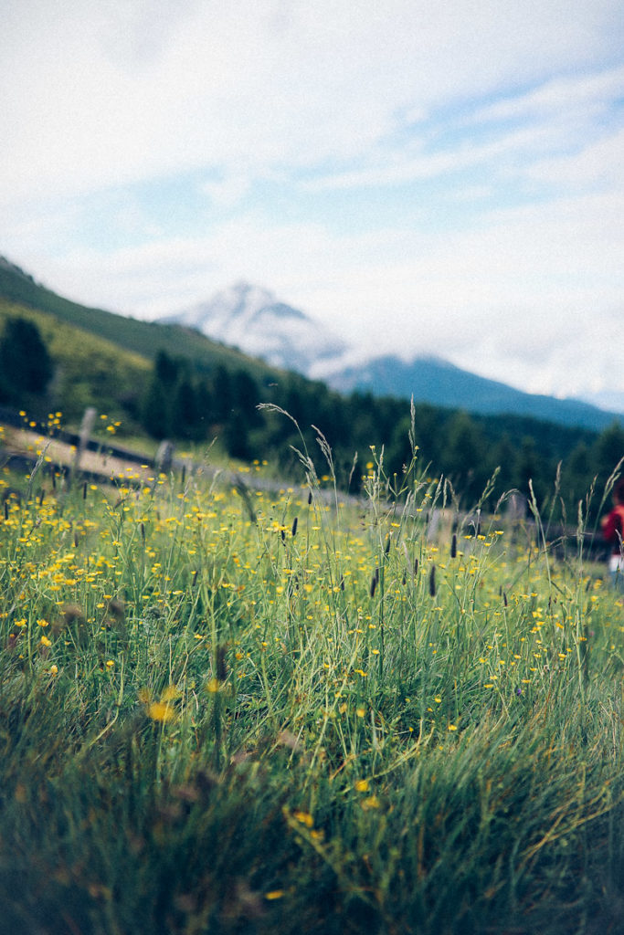 Meetmerano Berge Meraner Land Aussicht Südtiroltipps Urlaub in den Bergen Bergwiese zuckerzimtundliebe