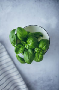 Basilikum Food photo Einfache Bolognese Sauce selber machen Bolo wie beim Italiener Rezept zuckerzimtundliebe pasta bolo foodstyling food photography mittagessen nudelsauce ofen bolognese