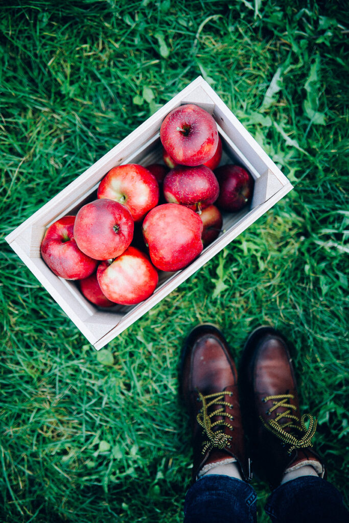 Apfelhof Jork Altes Land Edeka Regional apple picking red prince apfel