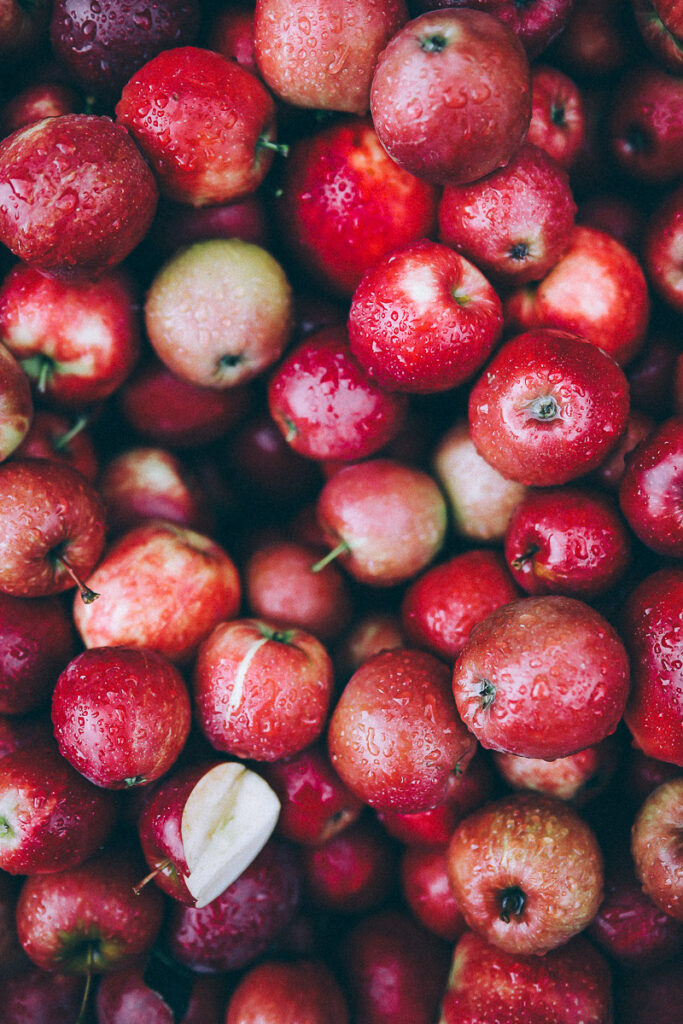 Apfelhof Jork Altes Land Regional apple picking red prince apfel